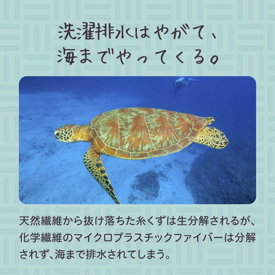 洗濯排水はやがて、海までやってくる。