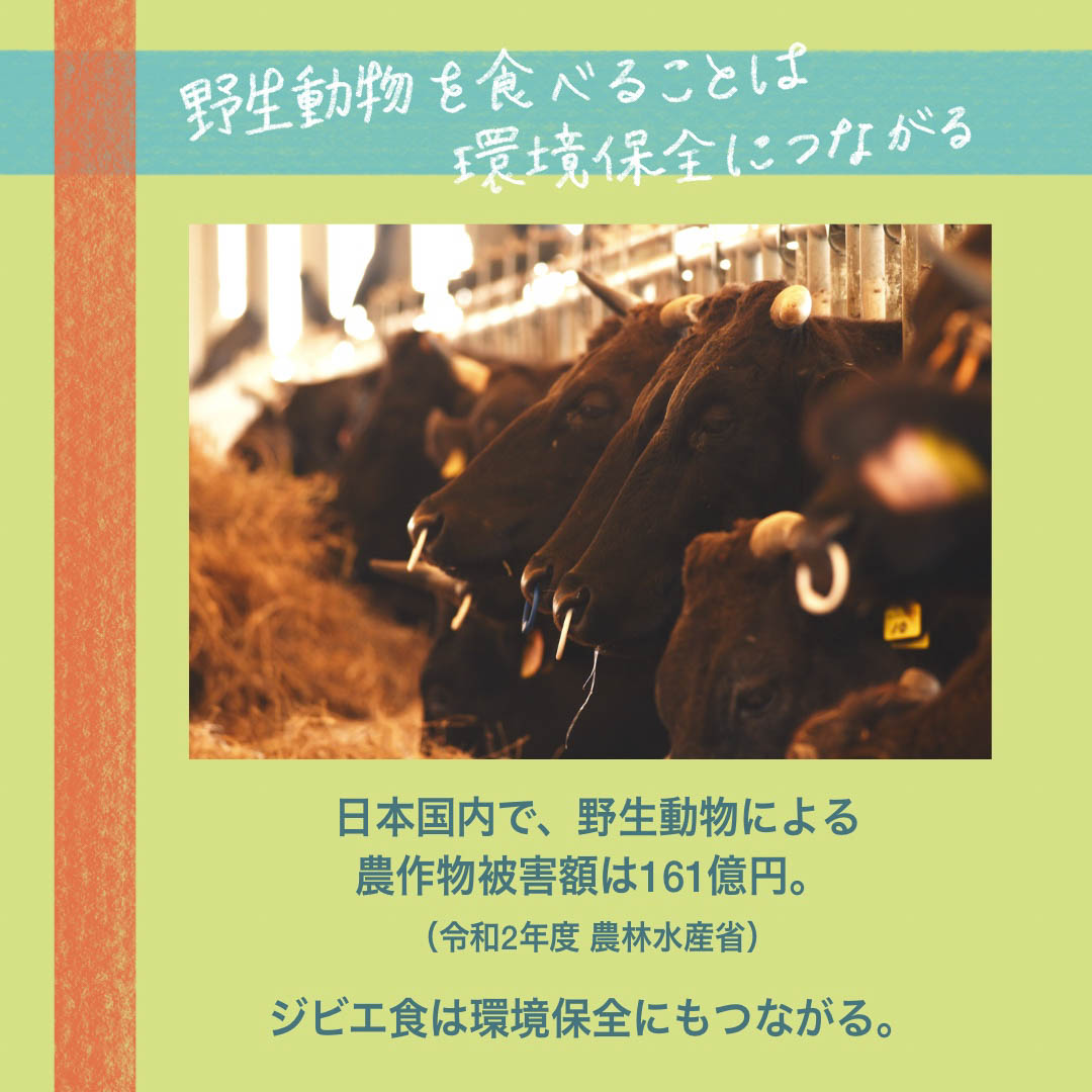 野生動物を食べることは環境保全につながる