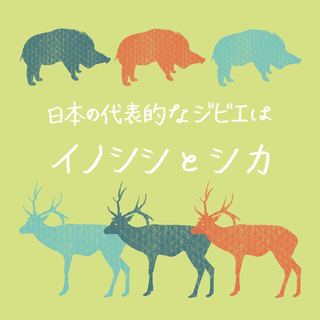 日本の代表的なジビエはイノシシとシカ